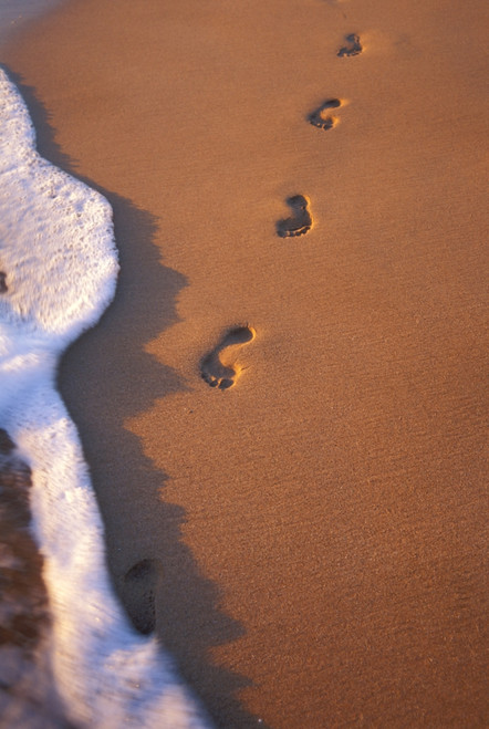 Close-Up Of Footprints In The Sand Along Shoreline, Golden Afternoon With Shadows PosterPrint - Item # VARDPI1998018