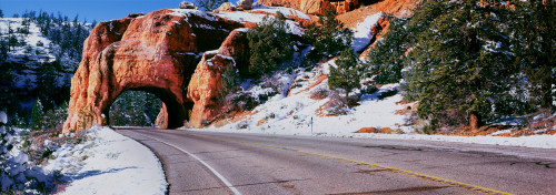 Arch over road, Utah State Route 12, Bryce Canyon National Park, Utah, USA Poster Print - Item # VARPPI164932