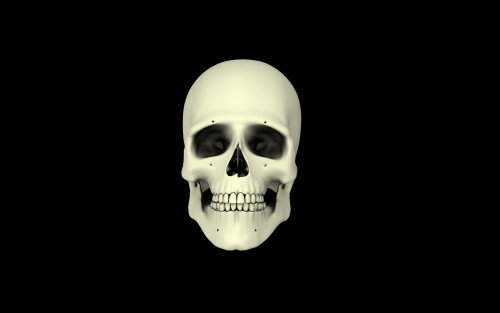 Front view of human skull Poster Print - Item # VARPSTSTK700085H