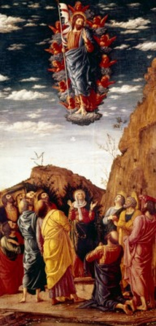 Ascension by Andrea Mantegna  tempera on wood panel   Italy  Florence  Galleria Degli Uffizi  1464 Poster Print - Item # VARSAL9006341