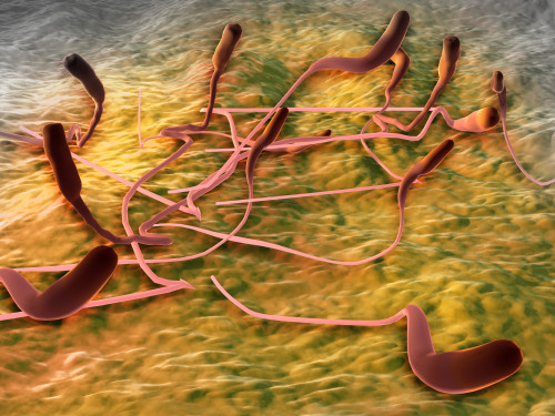 Microscopic view of sperm Poster Print - Item # VARPSTSTK700411H