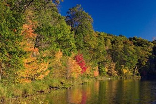 Pillsbury State Forest  Minnesota Poster Print by Panoramic Images (19 x 12) - Item # PPI103172 Pillsbury State Forest  Minnesota Poster Print by Panoramic Images (19 x 12) - Item # PPI103172