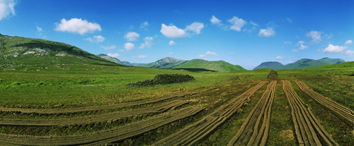 Cut Turf On A Landscape, Connemara, County Galway, Republic Of Ireland PosterPrint - Item # VARDPI1798749