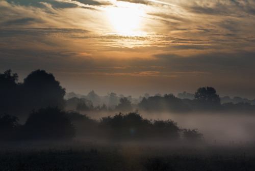 Summer morning with fog on a Kent farm; Kent, England PosterPrint - Item # VARDPI12255982