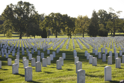 Arlington National Cemetery, Arlington, Virginia, USA Poster Print - Item # VARPSTTMO100826M