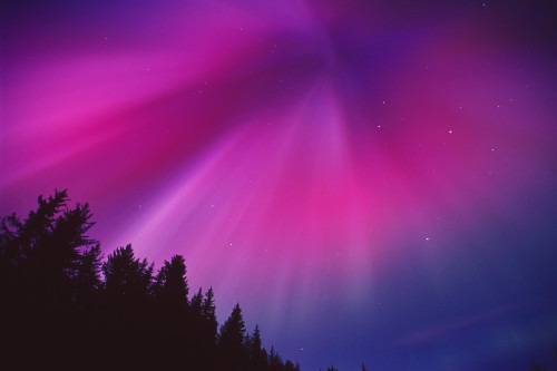 Aurora Corona Over Crow Creek Girdwood During Winter In Southcentral Alaska PosterPrint - Item # VARDPI2166166