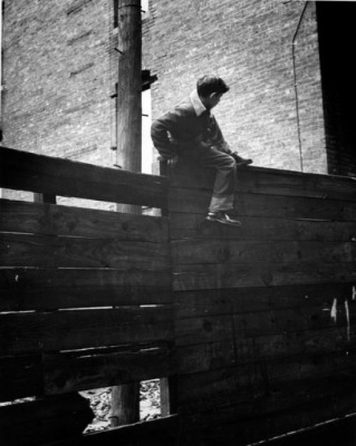 Boy climbing over fence Poster Print
