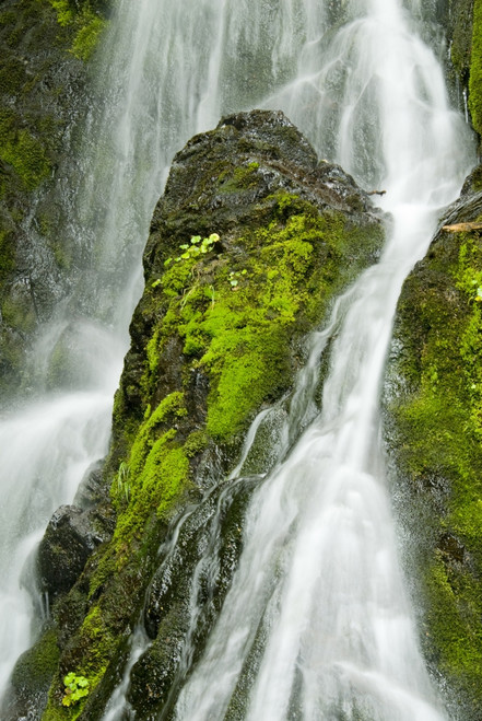 Waterfall Flows Over Green Foliage And Rock Outcrop, Cordova, Southcentral Alaska, Summer PosterPrint - Item # VARDPI2141670