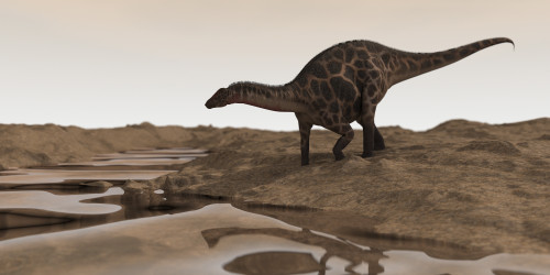 Dicraeosaurus on desert terrain Poster Print - Item # VARPSTKVA600816P