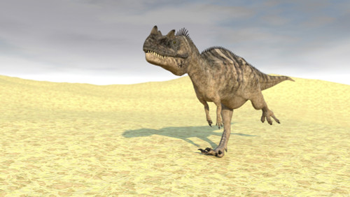 Ceratosaurus running across a barren desert Poster Print - Item # VARPSTKVA600031P