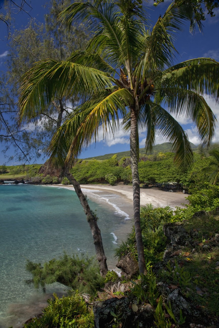 Hawaii, Maui, Hana, A sunny view of Hamoa Beach with clear ocean on a calm day. PosterPrint - Item # VARDPI2116440