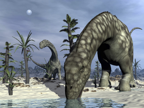 Argentinosaurus dinosaurs grazing in the desert with tempskya and williamsonia plants Poster Print - Item # VARPSTEDV600234P