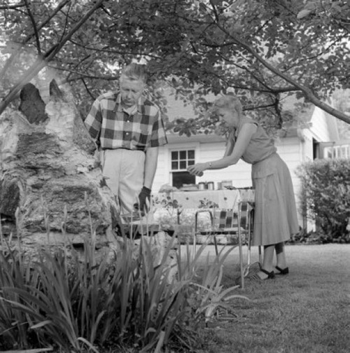 Senior couple having barbecue in backyard Poster Print - Item # VARSAL255417541