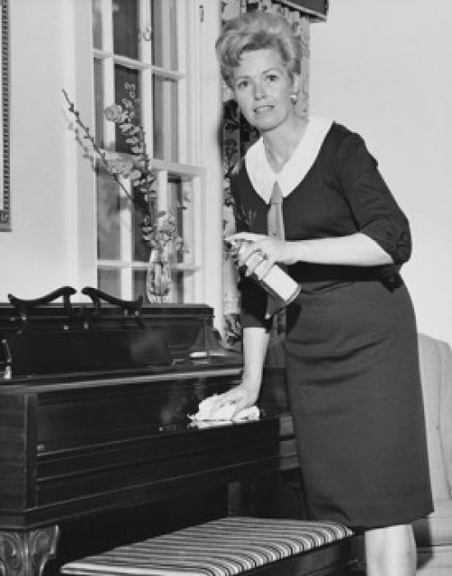 Mid adult woman cleaning the piano Poster Print - Item # VARSAL25541846