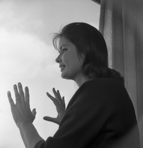 Woman looking through window Poster Print - Item # VARSAL255418104