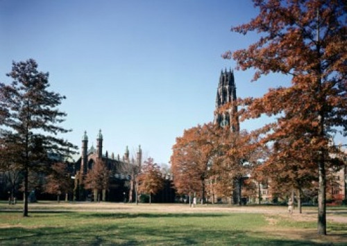 Yale University  New Haven  Connecticut  USA Poster Print - Item # VARSAL4913186 Yale University  New Haven  Connecticut  USA Poster Print - Item # VARSAL4913186