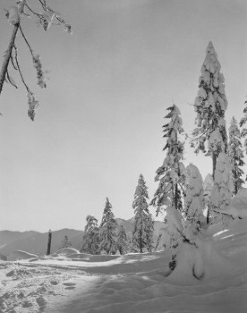 USA  Cascade Mountains  winter scene Poster Print