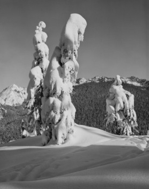 USA  Cascade Mountains  Snoqualmie Summit  50 miles East of Seattle Poster Print - Item # VARSAL255422230