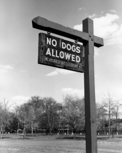 No dogs allowed in park  low angle view Poster Print - Item # VARSAL255416575
