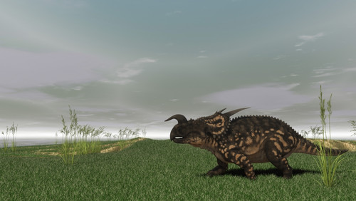 Brown Einiosaurus walking across prehistoric grasslands Poster Print