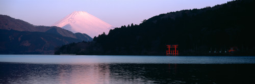 http://c328301.r1.cf1.rackcdn.com/PPI100238S.jpg