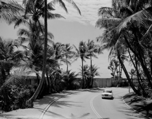 USA  Florida  Palm Beach  Highway A1A Poster Print - Item # VARSAL255420449