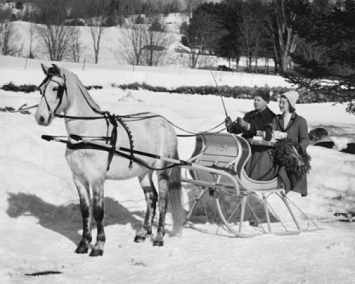 Young couple riding in sleigh pulled by horse Poster Print - Item # VARSAL25549114