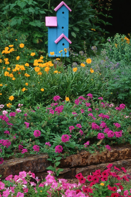 Pink and blue birdhouses in flower garden, Marion County, Illinois, USA Poster Print - Item # VARPPI169135