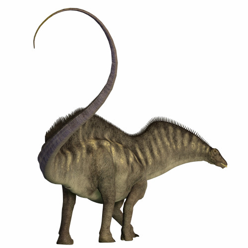 Amargasaurus dinosaur. Amargasaurus was a herbivorous sauropod that lived in Argentina during the Cretaceous Period Poster Print - Item # VARPSTCFR200522P