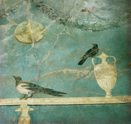 Birds with a Grecian Vase Fresco   Artist Unknown  Fresco Poster Print