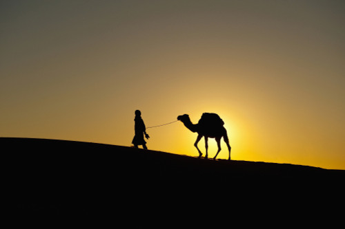 Morocco, Silhouette of Berber 'Blue man' leading camel across sand dunes at dusk in Erg Chebbi area; Sahara Desert near Merzouga PosterPrint - Item # VARDPI2297300