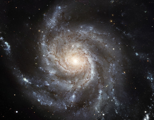 Spiral galaxy Messier 101 Poster Print - Item # VARPSTSTK201219S