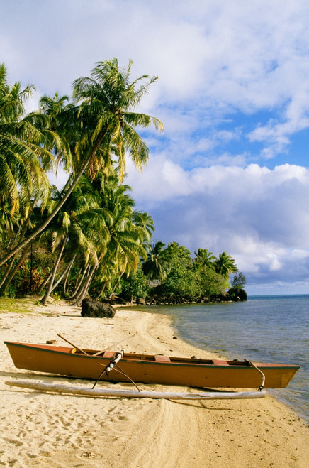 French Polynesia, Tahiti, White Sand Beach With Palm Trees And Canoe PosterPrint - Item # VARDPI1994685