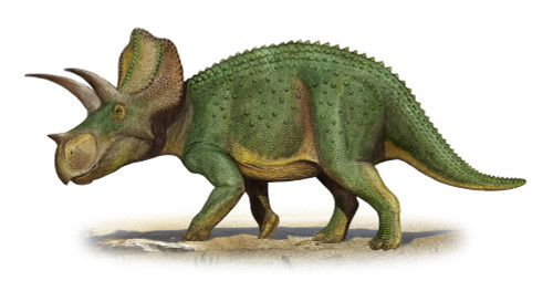 Ojoceratops fowleri, a prehistoric era dinosaur from the Late Cretaceous period Poster Print - Item # VARPSTSKR100064P