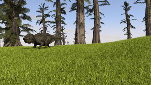 Udanoceratops walking across a grassy field Poster Print - Item # VARPSTKVA600639P