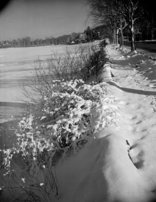 Winter landscape Poster Print