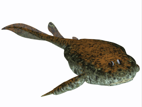 Bothriolepis, a freshwater detritivore which lived in the Devonian Period Poster Print - Item # VARPSTCFR200179P