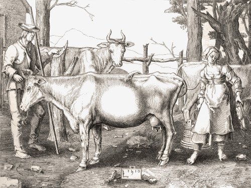 La Laitiere Or The Milkmaid By Lucas Van Leyden. 16Th Century Farming. From Histoire Des Peintres De Toutes Les ?Coles, ?Cole Hollandaise, Published 1863. PosterPrint - Item # VARDPI2334392