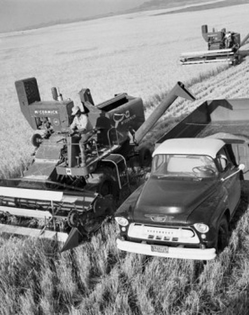 High angle view of a farmer using a combine harvester in a field  Montana  USA Poster Print - Item # VARSAL25530534