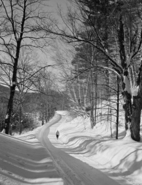Country road in winter Poster Print - Item # VARSAL255423945