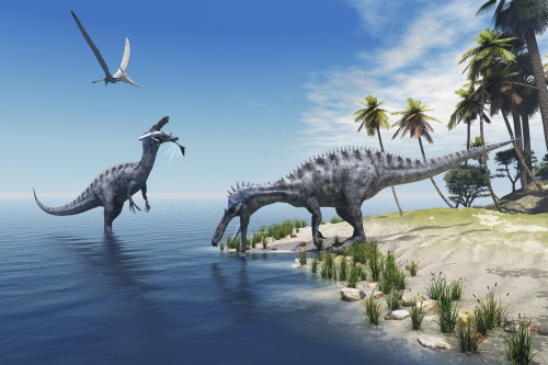 A large fish is caught by a Suchomimus dinosaur while a flying Pterosaur dinosaur watches for scraps to eat Poster Print - Item # VARPSTCFR200076P