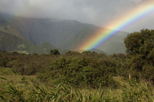 Hawaii, Maui, A rainbow over the lush Kaupo Gap. PosterPrint - Item # VARDPI2116321