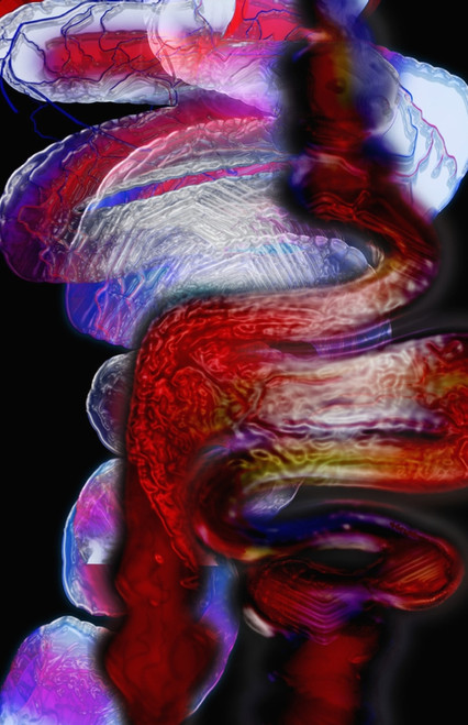 Abstract of intestines PosterPrint - Item # VARDPI12289495