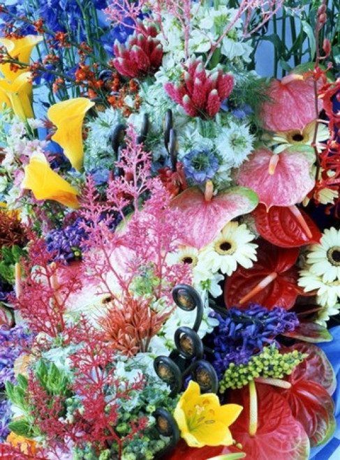 Collage of multi colored flowers Poster Print by Panoramic Images (27 x 36) - Item # PPI117897
