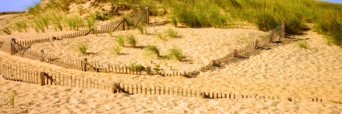 Fence on the beach, Cape Cod, Massachusetts, USA Poster Print - Item # VARPPI158210