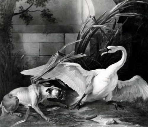 Dog and Swan by Jean-Baptiste Oudry  1686-1755 Poster Print - Item # VARSAL99587101