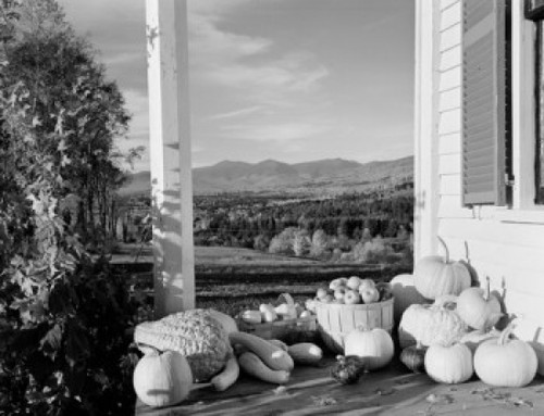 USA  New Hampshire  Lancaster  pumpkins and apples on porch Poster Print - Item # VARSAL255424038
