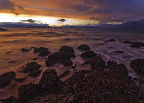 Winter Sunset View Of Zimovia Strait And Woronkofski Island Seen From Petroglyph Beach At, Wrangell Island, Alaska PosterPrint - Item # VARDPI2174467