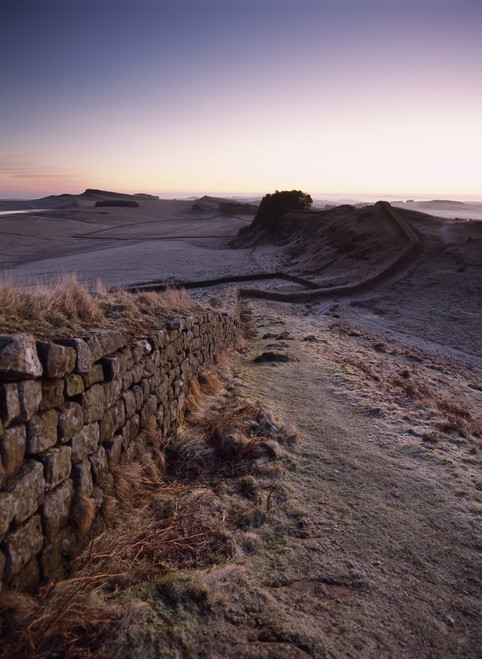 Looking Along Hadrian's Wall Shortly Before Dawn, At Cuddy's Crags Near Housesteads, Northumberland, England. PosterPrint - Item # VARDPI2196994