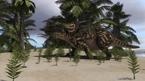 Brown Einiosaurus grazing in a prehistoric environment Poster Print - Item # VARPSTKVA600063P